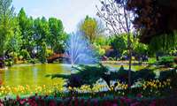 our beautiful karaj